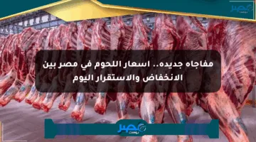 مفاجأة جديدة.. أسعار اللحوم في مصر بين الانخفاض والاستقرار اليوم